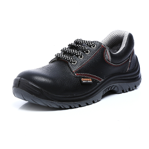 Antistatic Safety Shoes Manufacturers in Delhi